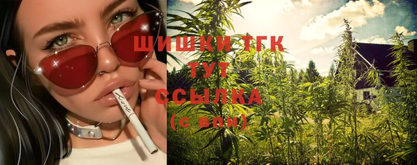 ешки Алексин