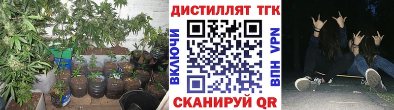 магазин    Байкальск  ТГК Wax 