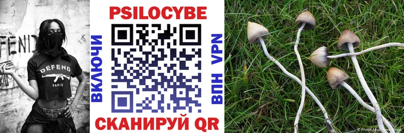 Галлюциногенные грибы Psilocybine cubensis  Байкальск 